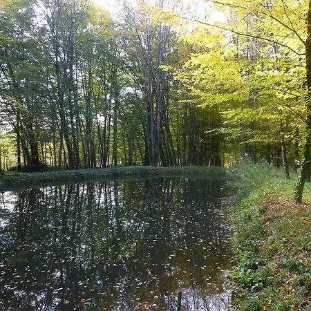 Bed & Breakfast La Faisanderie 16