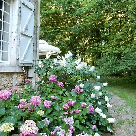 Bed & Breakfast La Faisanderie 16