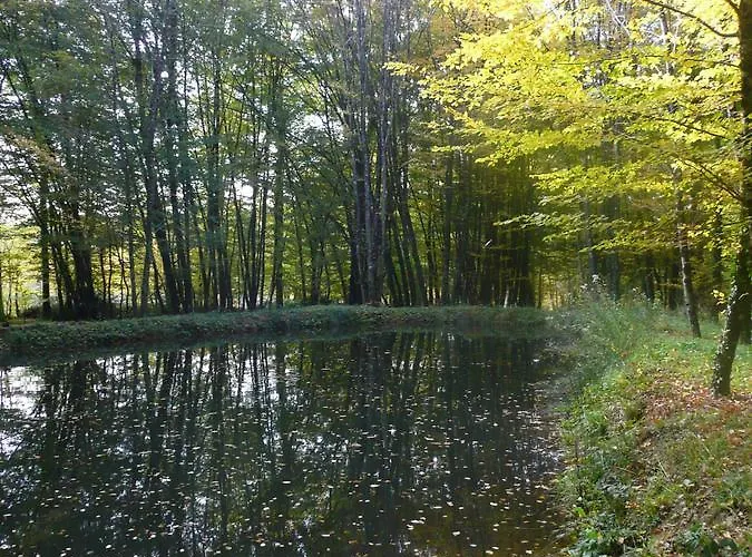 Bed & Breakfast La Faisanderie 16